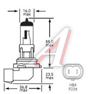 Лампа 12V HB4 51W P22d 1100лм Стандарт TESLAFT (Россия) 4631111143285, 143285