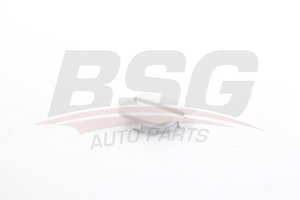 Заглушка FORD Focus (08-) отверстия буксировочного бампера заднего BSG BSG30922086, ZD-6255, 1521717