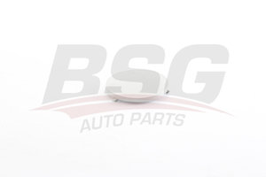 Заглушка FORD Focus (99-04) бампера переднего BSG BSG30922054, 1073800