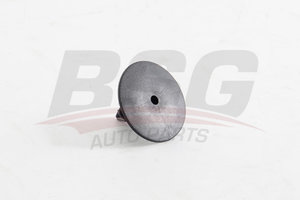 Клипса RENAULT Clio,Kangoo,Megane (00-) крепления подкрылка BSG BSG75995001