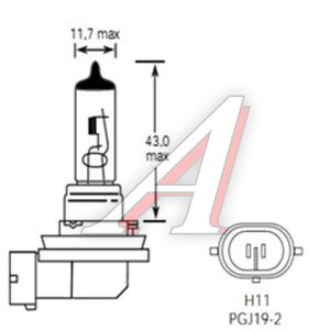 Лампа 12V H11 55W PGJ19-2 1350лм Стандарт TESLAFT (Россия) 4631111142868, 142868, АКГ12-55