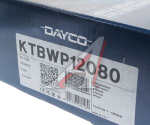 Комплект ремня ГРМ FORD Focus 4 с насосом водяным DAYCO KTBWP12080, 2189258